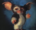 mogwai2.JPG